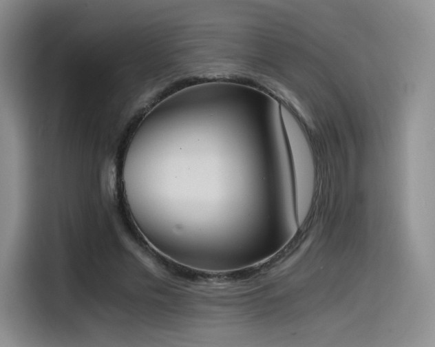 X0000114590589200910191559