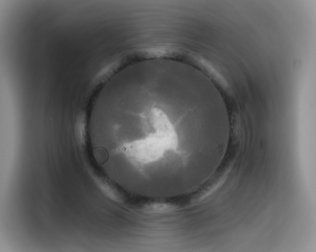 X0000114590590200910191558
