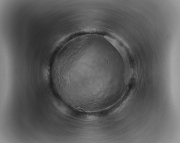 X0000114590592200910191558