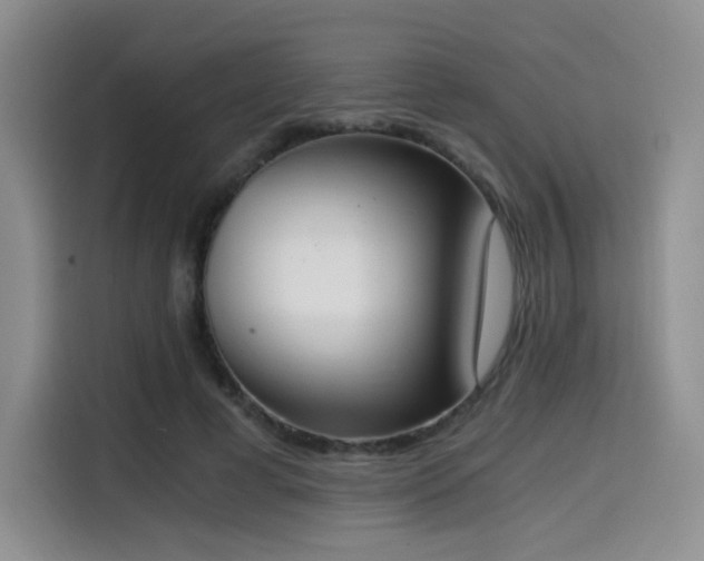 X0000114590593200910191558