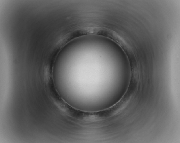 X0000114590594200910191558