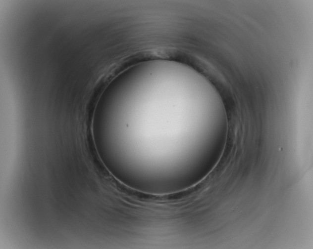 X0000114590595200910191558