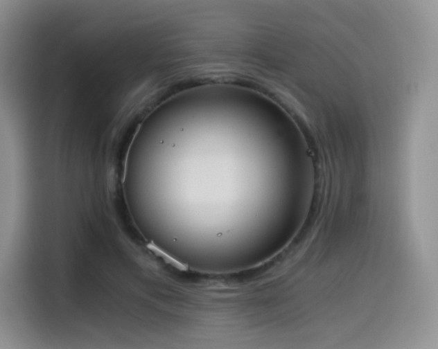 X0000114590597200910191558