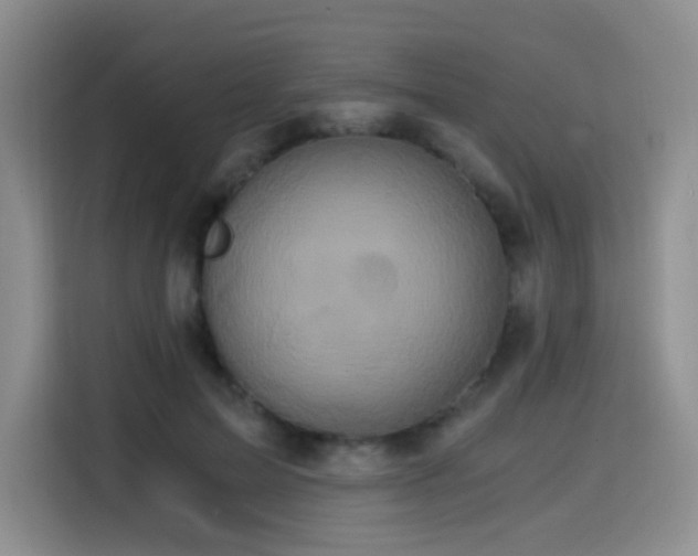 X0000114590599200910191558