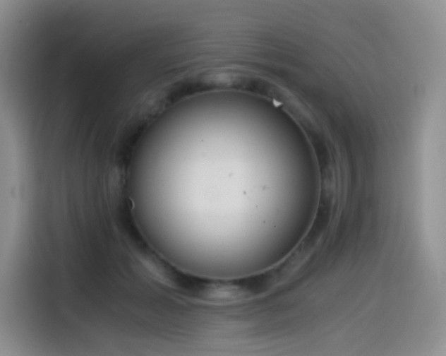 X0000114590605200910191558