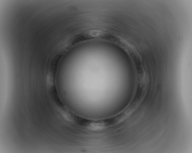 X0000114590606200910191558