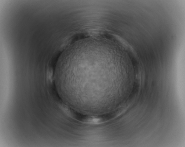 X0000114590610200910191558