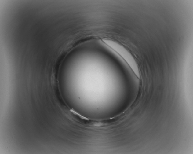 X0000114590611200910191558