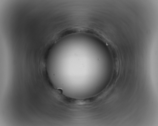 X0000114590613200910191558