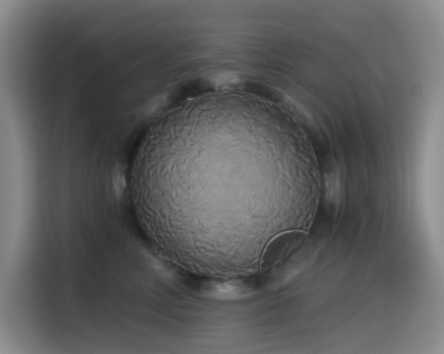 X0000114590618200910191558