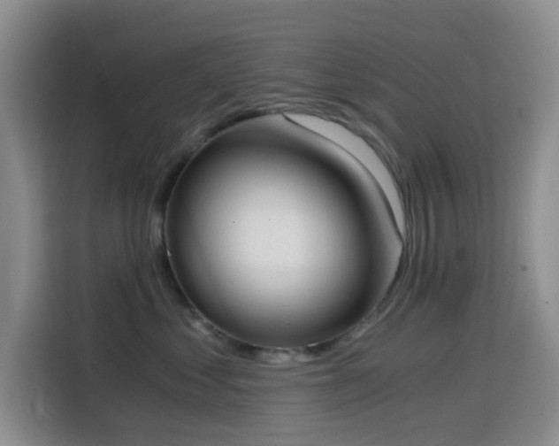 X0000114590621200910191558
