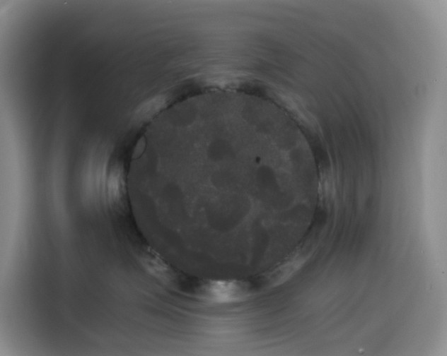 X0000114590623200910191558