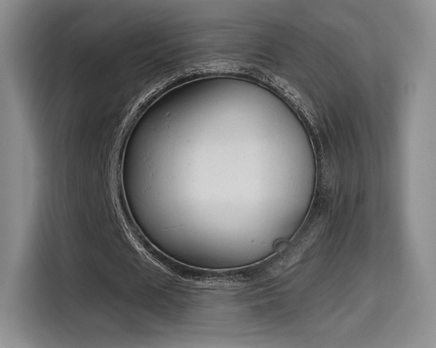 X0000114590625200910191557