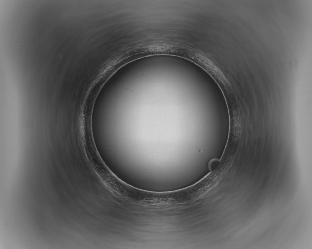 X0000114590626200910191557