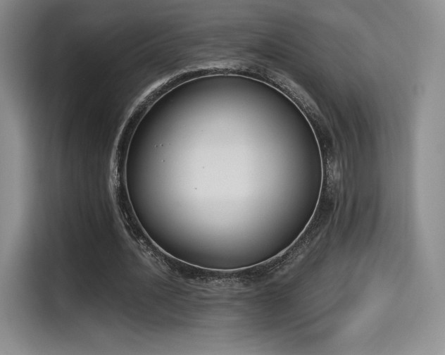 X0000114590628200910191557