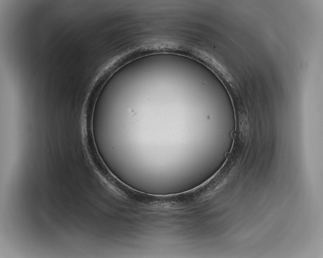 X0000114590629200910191557