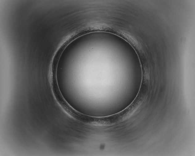 X0000114590630200910191557