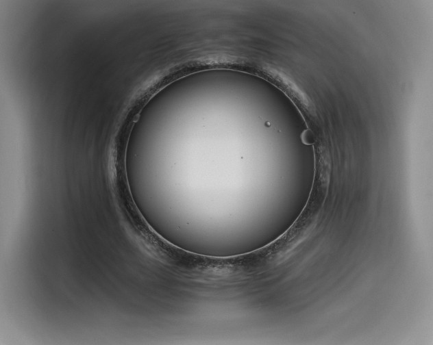 X0000114590631200910191557
