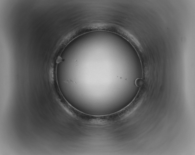 X0000114590633200910191558