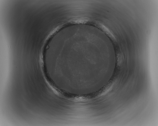 X0000114590634200910191558