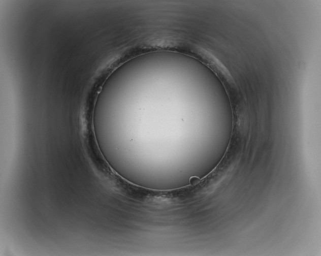 X0000114590635200910191558