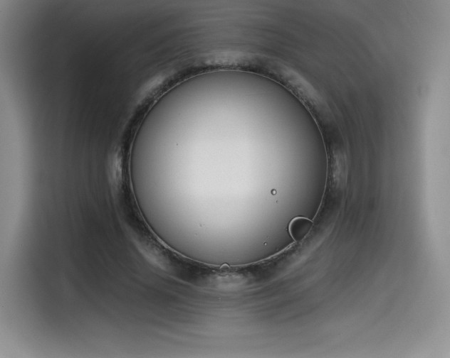 X0000114590636200910191558