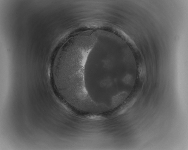 X0000114590637200910191558