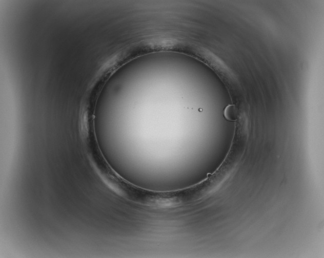 X0000114590638200910191558