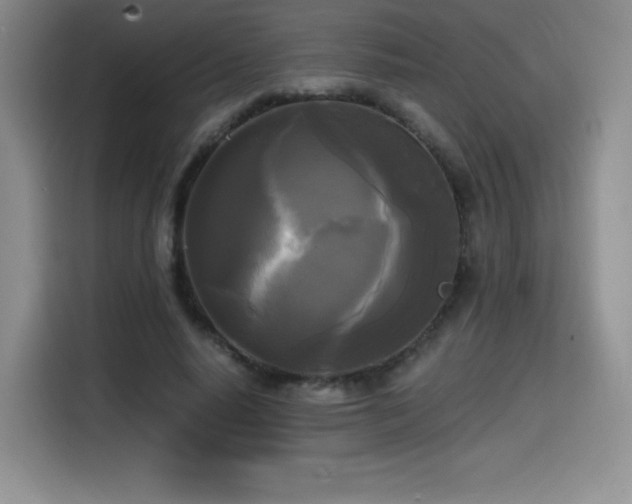 X0000114590640200910191558