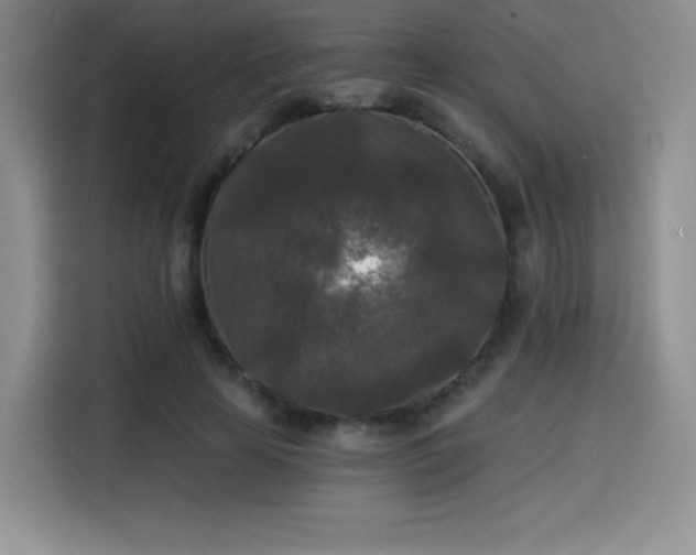 X0000114590641200910191558