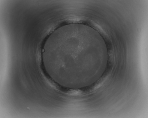 X0000114590642200910191558