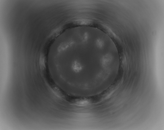 X0000114590643200910191558