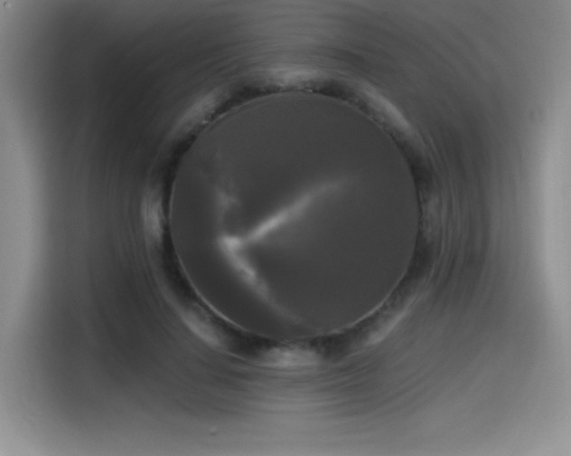 X0000114590644200910191558