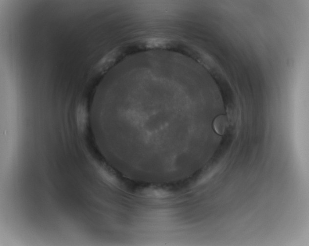 X0000114590648200910191558