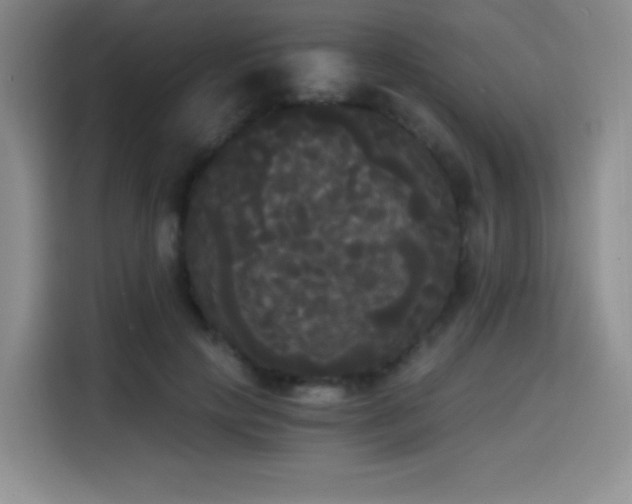 X0000114590649200910191558