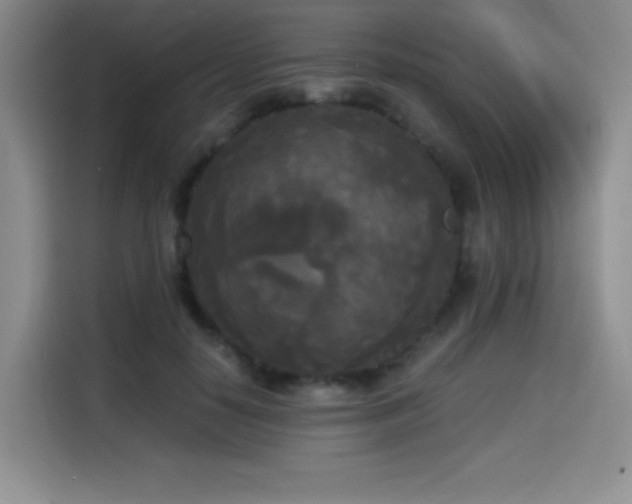 X0000114590650200910191558