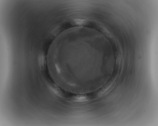 X0000114590651200910191558
