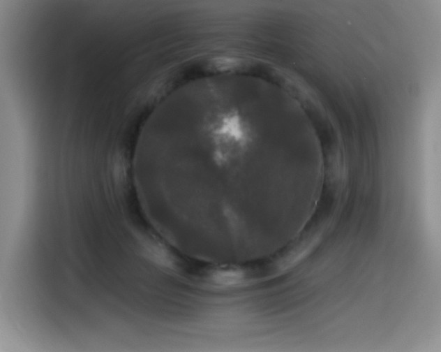 X0000114590653200910191558
