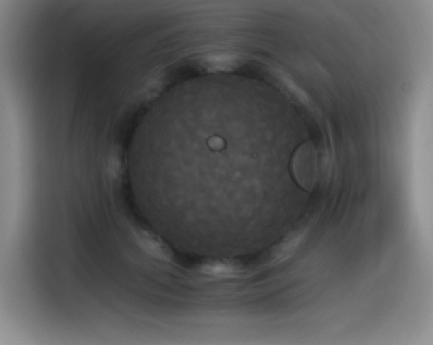 X0000114590655200910191558