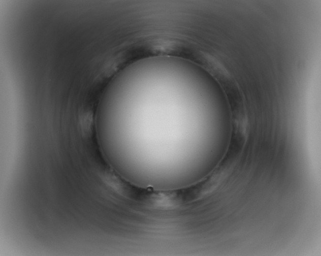 X0000114590660200910191558
