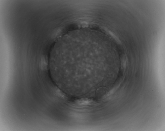 X0000114590661200910191558