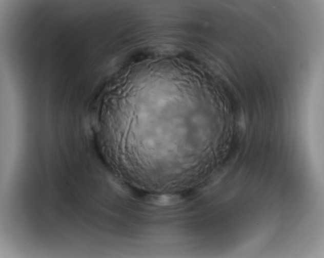 X0000114590663200910191558
