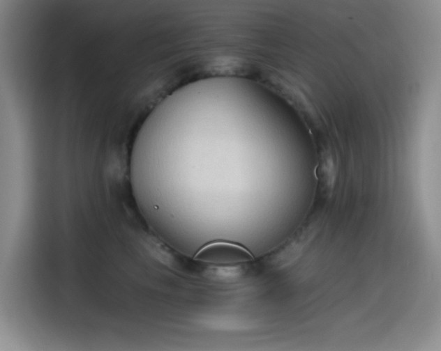 X0000114590665200910191558