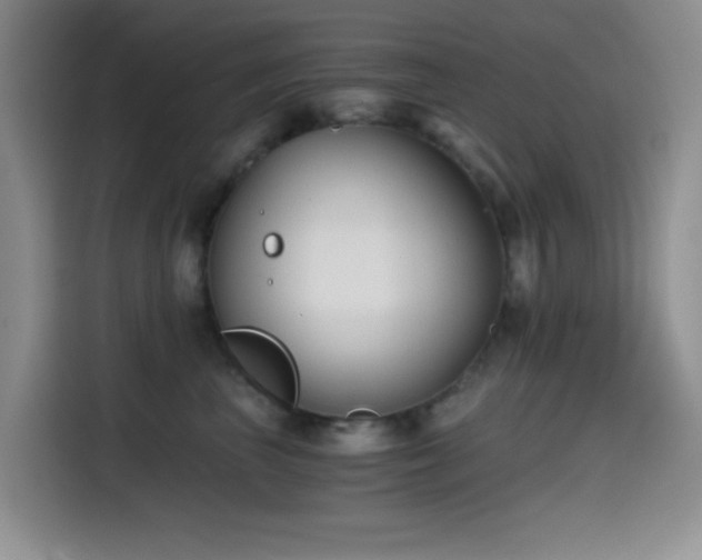 X0000114590667200910191558
