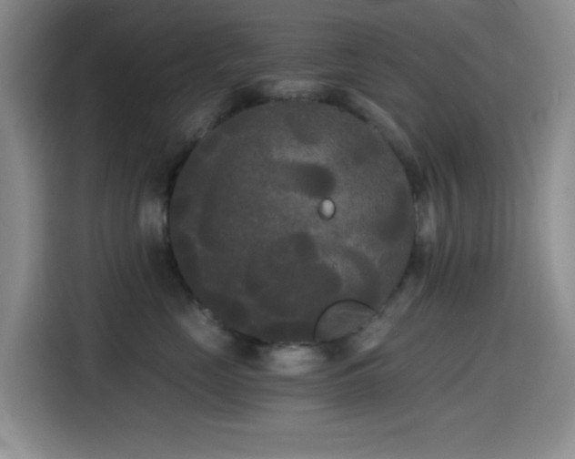 X0000114590669200910191558