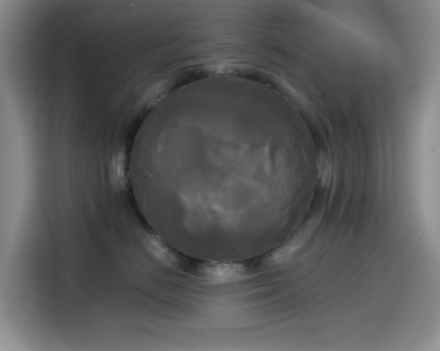 X0000114590670200910191558
