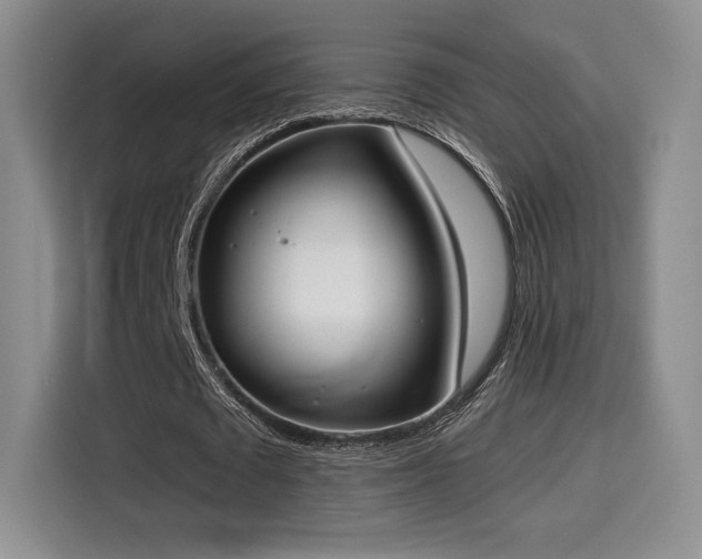 X0000114590673200910191557