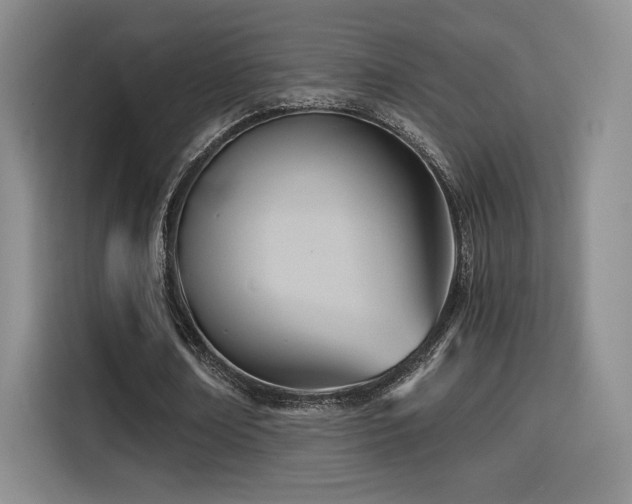 X0000114590674200910191557