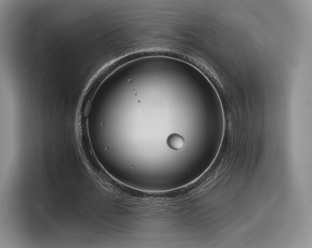 X0000114590676200910191557