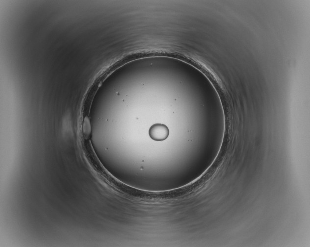 X0000114590677200910191557